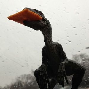 Meet your Posher, Cindi